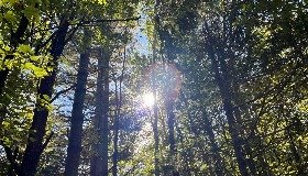 External activity - Indigenous Socioeconomic Wellbeing